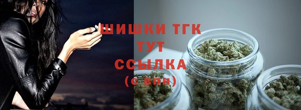 гашик Абинск