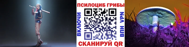 Псилоцибиновые грибы Psilocybe  закладки  MEGA зеркало  Терек 
